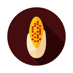 Corncob flat icon