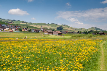 Appenzell et campagne suisse