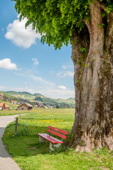 Appenzell et campagne suisse