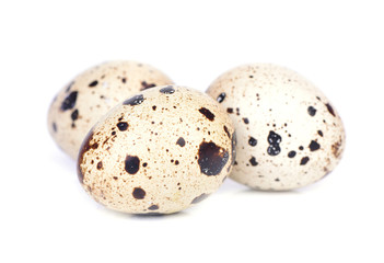 Quail eggs