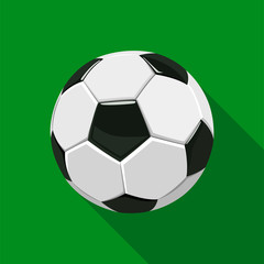 Soccer Ball On Green Background