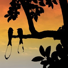 silhouette of a couple of birds of paradise in the sunset