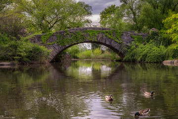 A bridge over a lake with ducks swimming
