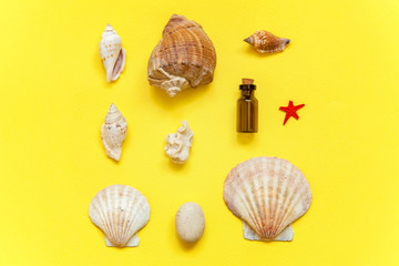Tropical Background. Seashell and glass bottle on yellow colourful trendy modern fashion background. Vacation travel summer weekend sea adventure trip concept