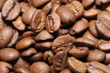 コーヒー　豆　カフェ