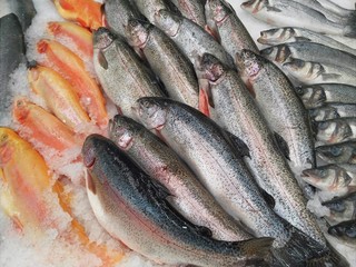 Fresh fish on the counter