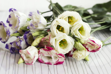 Bouquet of eustoma flowers