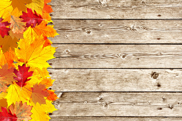 Beautiful colorful fall season leaves on aged wooden boards. Copy space background. 