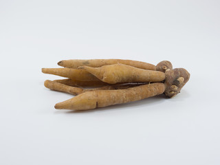 Fresh fingerroot, Kaempfer, Boesenbergia on white background.