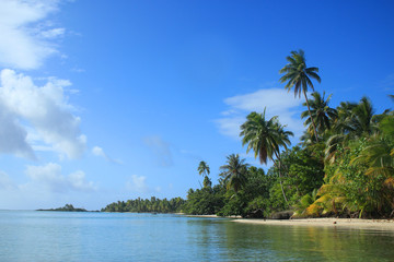 Fototapeta na wymiar 南国リゾートビーチ タヒチでリラックス Relax in resort beach in Tahiti 
