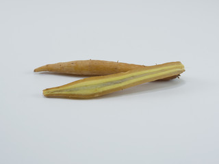 Fresh fingerroot, Kaempfer, Boesenbergia on white background.