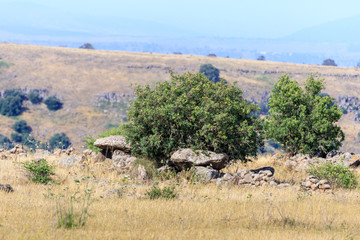 Dolmen - a stone burial  of the Bronze Age in the Gamla area of the Golan Heights, Israel