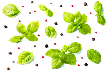 Fresh Basil leaves with pepper on white background