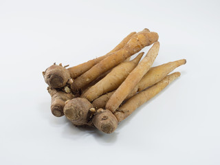 Fresh fingerroot, Kaempfer, Boesenbergia on white background.