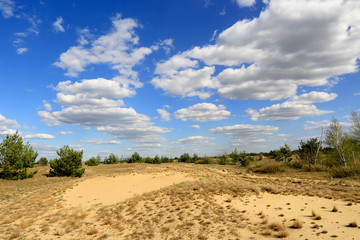 Fototapeta na wymiar nice sunny day in desert