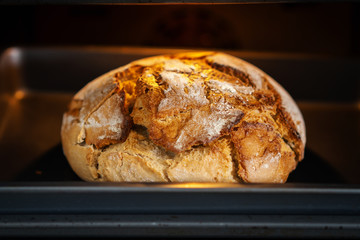 fragrant and crusty bread in the oven in the kitchen