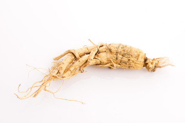 Extract of ginseng root