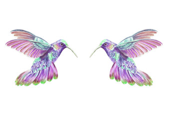 Obraz premium Dos colibrís II