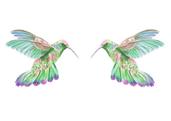 Dos colibrís III