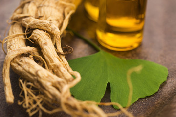 Extract of ginseng root and ginkgo biloba leaves