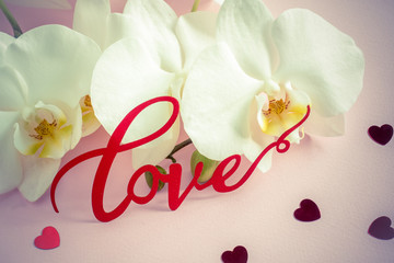 White Orchid inscription Love on a pink background