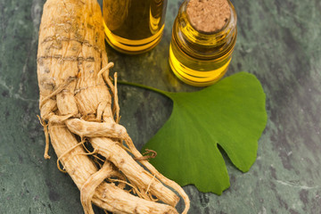 Extract of ginseng root and ginkgo biloba leaves