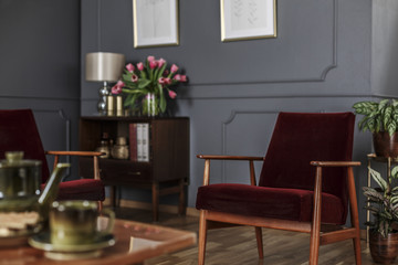 Close-up of a red, velvet armchair standing in a blurred interior of a dark living room with wooden...