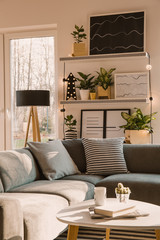 Shelved with plants and framed posters above a cozy, gray corner sofa with pillows in a scandi living room interior with white walls