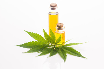 marijuana plant and cannabis oil