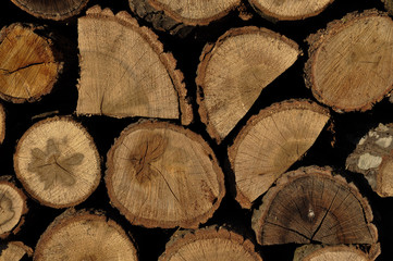 Naklejka premium woodpile