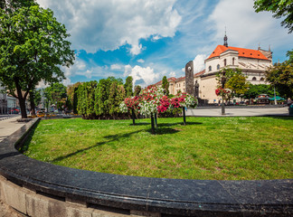 Flowerbed in Lviv city center
