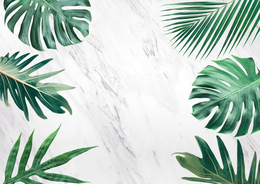  Group of tropical leaves on marble background.Copy space.Nature and summer concept