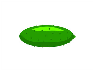 Cucumber isolated on white. 