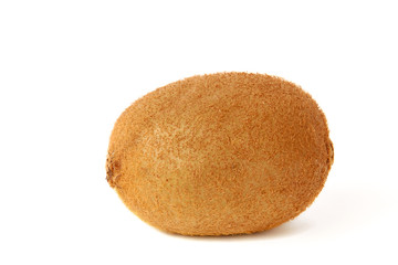 Single ripe kiwi on white background