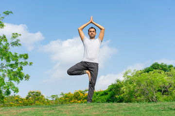 Calm Indian man standing in tree yoga pose on green lawn