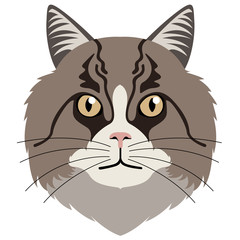 Norwegian west cat avatar. Cat breeds