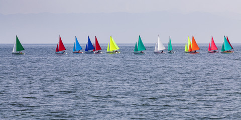 Switzerland, Thurgau, Arbon, Lake Constance, regatta, panoramic view of colorful sailing boats