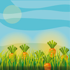 Fototapeta na wymiar agriculture plantation vegetable carrot image vector illustration