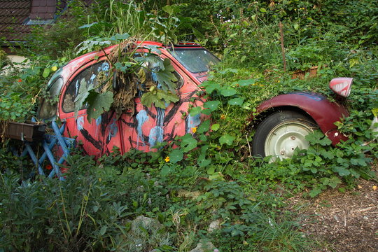 Abandoned car in a garden
