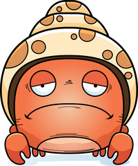 Sad Little Hermit Crab