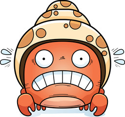 Scared Little Hermit Crab