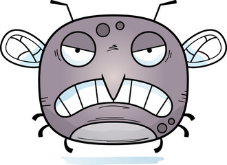 Angry Little Mosquito