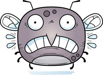 Scared Little Mosquito
