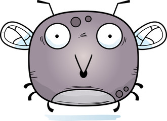 Surprised Little Mosquito