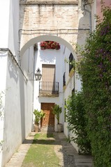 Arch in alley, Cordoba, Spain