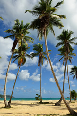 The Rincon beach wild and hard to reach on the Samana peninsula in Dominican Republic