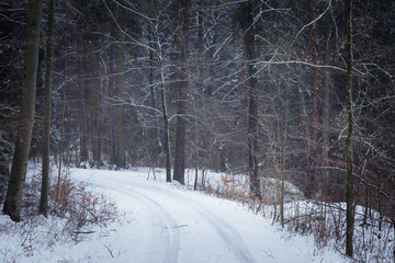 Weg im Schnee