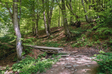 Tourist trail to Wetlina Mountain Pastures in Bieszczady National Park, Poland
