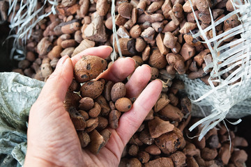 Extraction of rocks, stones, expanded clay, in the hand of the worker