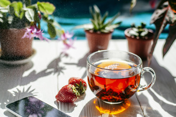 Close-up image of glass cup of tea, red strawberries, smartphone and flowers in pots on light wooden background.